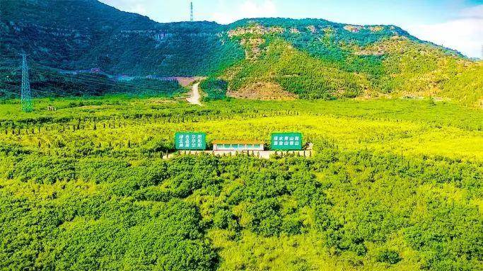 绿色矿山环保法规：轻松掌握合规要点，避免高额罚款与生态风险