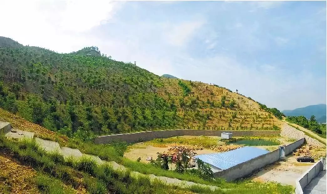 绿色矿山环保法规：轻松掌握合规要点，避免高额罚款与生态风险