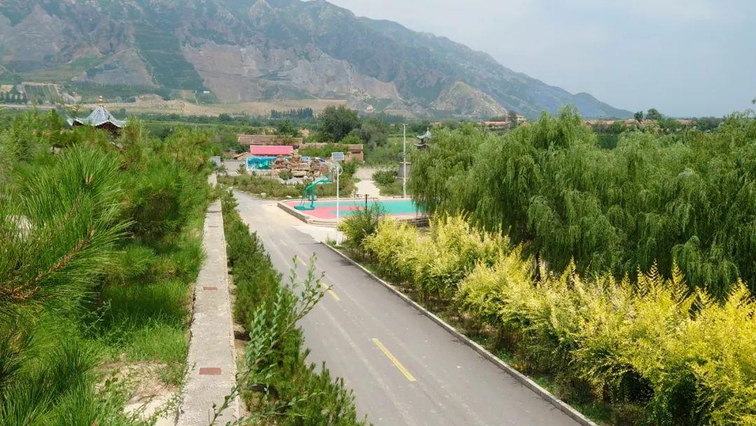 绿色矿山矿山绿化:从工业废墟到生态乐园的蜕变之路